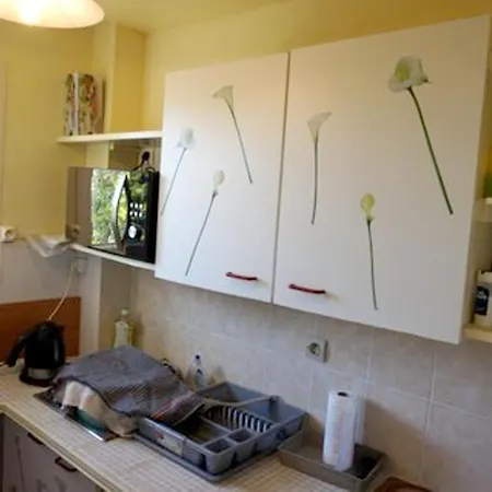 Appartamento Apartment Rue Victor Tesniere - 26